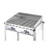 Grill gaasigrillile Green Fire - bränd HENDI