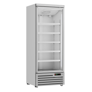 Positiivne külmkapp - 1 klaasuks - 600 L - CombiSteel