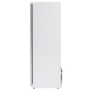 Armoire Congélation 400 L Vitrée Froid Ventilé -18/-22°C