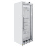 Armoire Congélation 400 L Vitrée Froid Ventilé -18/-22°C