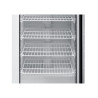 Armoire Congélation 400 L Vitrée Froid Ventilé -18/-22°C