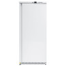 Armoire 570 Liitrit - Positiivne - Réf NMA600TN
