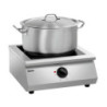 Induction Plate 1 Burner - 8000 W