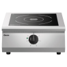 Induction Plate 1 Burner - 8000 W