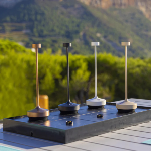 Induktsioonlaadimisalus 6 laualambile - Kelly Plate - Lumisky