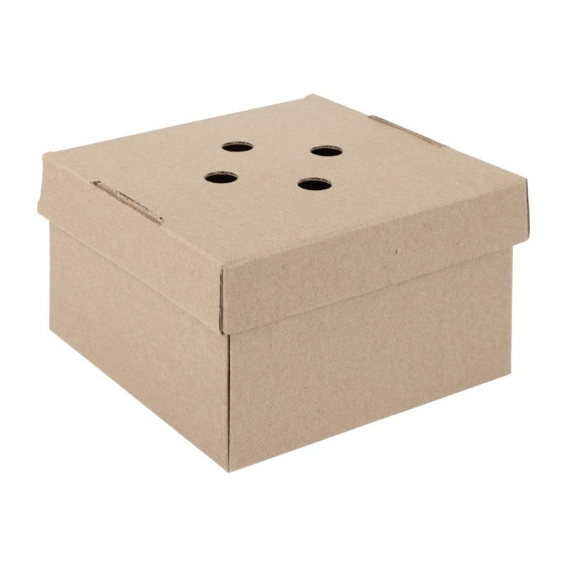 Foldable Square Burger Boxes - Pack of 100 - Fiesta Green Foldable Square Burger Boxes - Pack of 100 - Fiesta Green