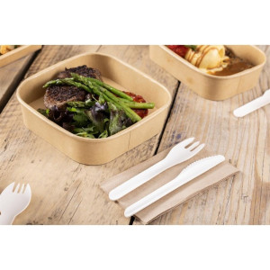 Couteaux en Papier 165 mm - Lot de 100 - Fiesta Green