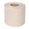 Rouleaux de Papier Toilette Recyclé 2 Plis 320 Feuilles - Lot de 36 - Jantex