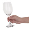 Solar Wine Glass - 245 ml - Set of 24 - Olympia