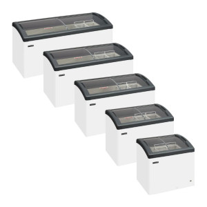 Ice Cream Freezer - 161 L - TEFCOLD