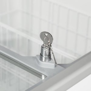 Vitrine jäätise jaoks - 8 x 5 L