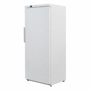 White Ventilated Freezer Cabinet - 600 L - Refurbished