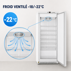 590 L Ventilaatoriga Sügavkülmik -18/-22°C