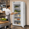 Ventileeritud külmkapp 527 L +2/+8 °C — Täisuks
