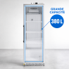 Armoire Réfrigérée Positive Vitrée 380 L 0/+8°C
