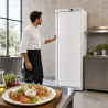 Armoire Réfrigérée Positive 380 L 0/+8°C Porte Pleine