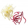 Disque Râpeur - Suurus Lõige - 5 mm Robot-Coupe Jaoks CL 50 Gourmet