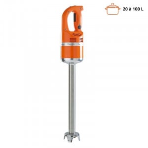 Master Immersion Blender MX 2000 Standard - FourniResto.com