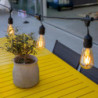 Guirlande lumineuse hõõgniidiga pirniga - Mafy Light - Lumisky