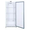 Armoire 570 Litres - Positiivne - Réf NMA600TN