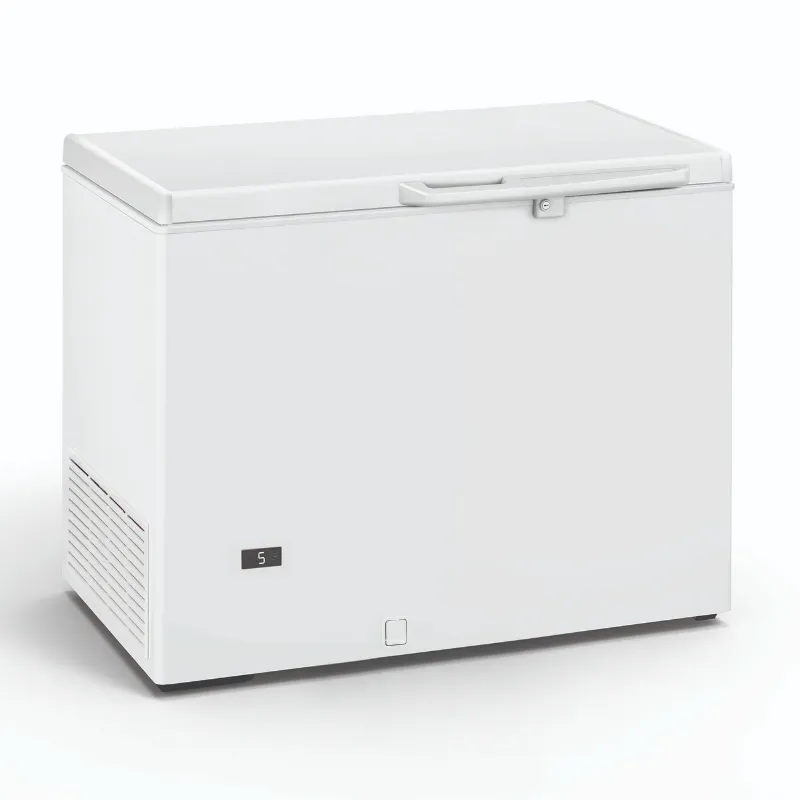 Sügavkülmik - 290 L