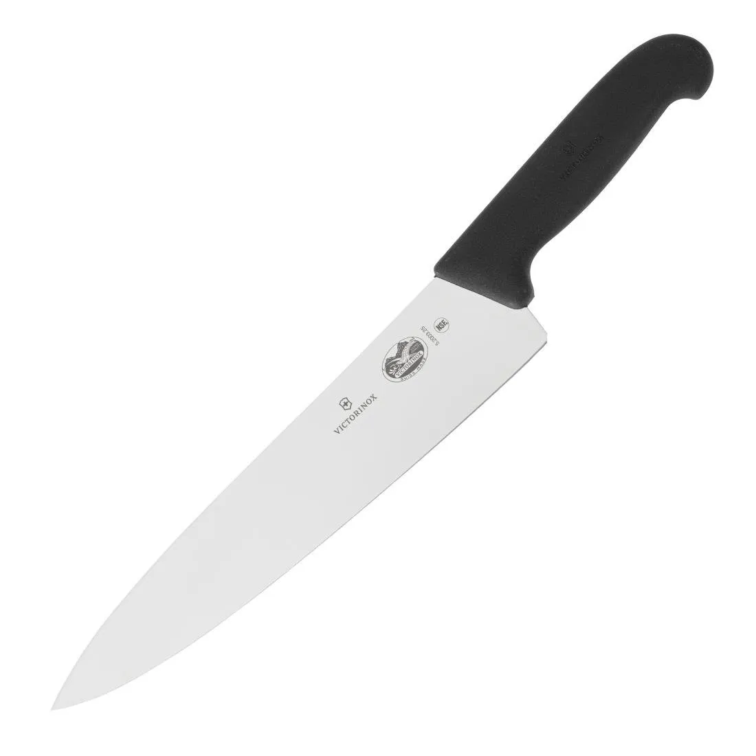Kokanoa tera - 25,5 cm