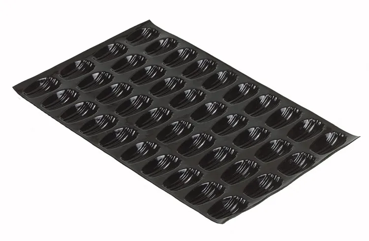 Madeleineide vormi – 40 vormiga – 78 x 47 mm